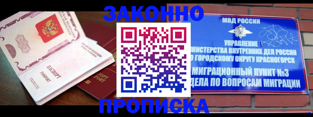 прописка для школы в Химках